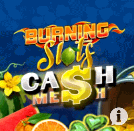 play Burning Slots in casino